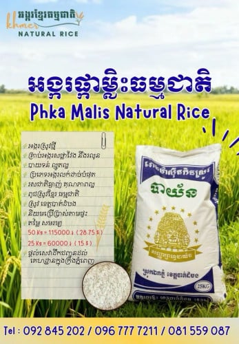 អង្ករផ្កាម្លិះ ស្រូវថ្មី