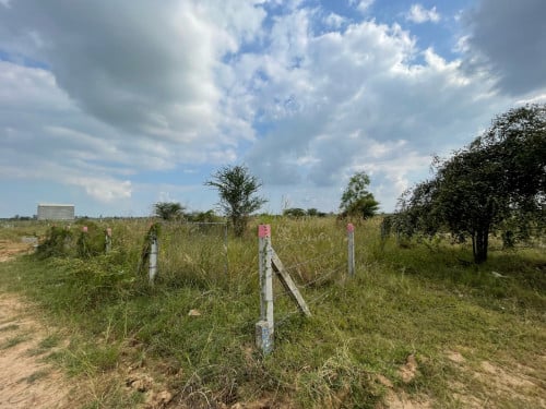 ដីលក់មានប្លង់រឹង