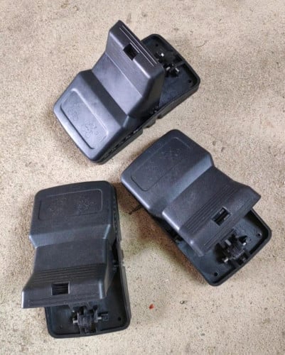 ដង្កៀបចាប់កណ្តុរ 1$