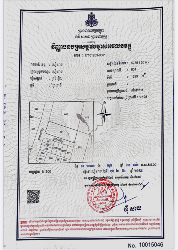 លក់បន្ទាន់ 45000 ទំហំ 22x60 ផ្លូវកែវ