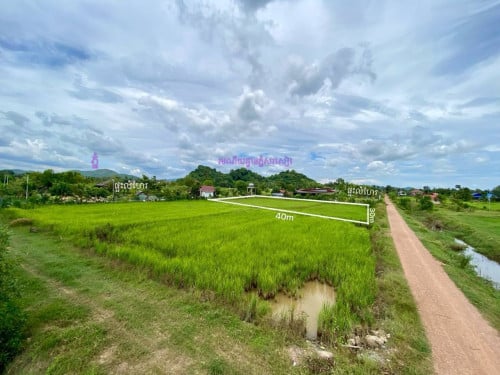 ដីលក់បន្ទាន់​(450m ពីផ្លូវ​ជាតិ33) ភ្លើងរដ្ឋ ទឹកស្អាត