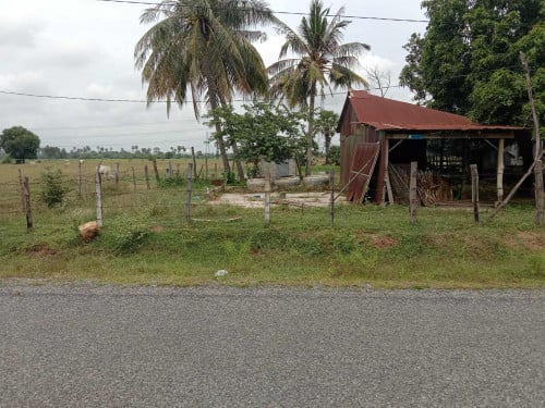 ទីតាំងល្អ រកសុីបើកកន្លែងលក់ដូ ជាប់ផ្លូវ មានភ្លើង ទឹក រួចស្រាចចុះផ្លូវ51/700ឞខាងជើងភ្នំបាសិត