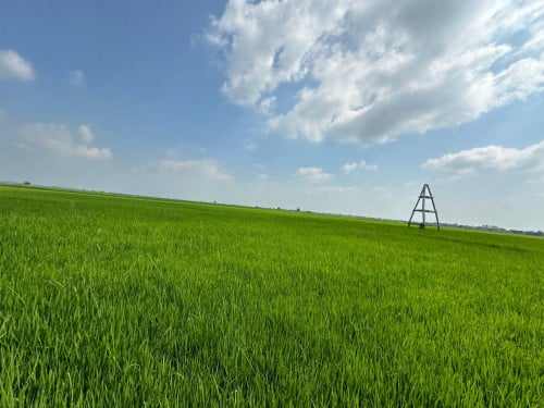 ដីលក់បន្ទាន់ ក្រុងសំពៅពូន ស្រុកកោះធំ 6$/ម2