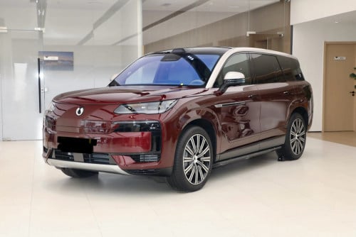 2026 Flahship Denza N9