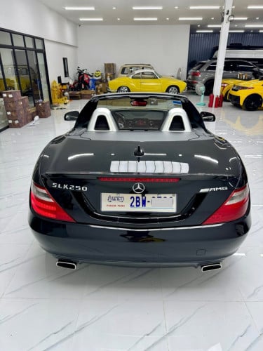 Mercedes Benz SLk250