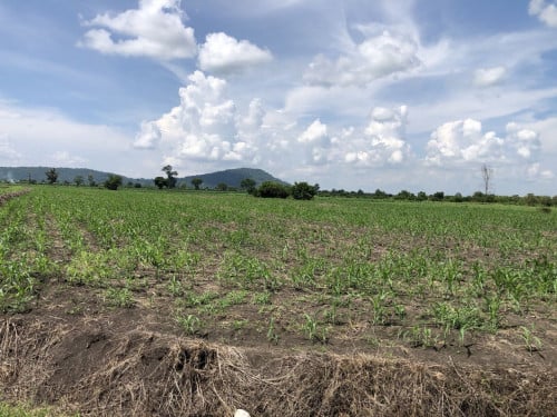 🏦Land for Urgent sale (Negotiable), ABA Loan Available