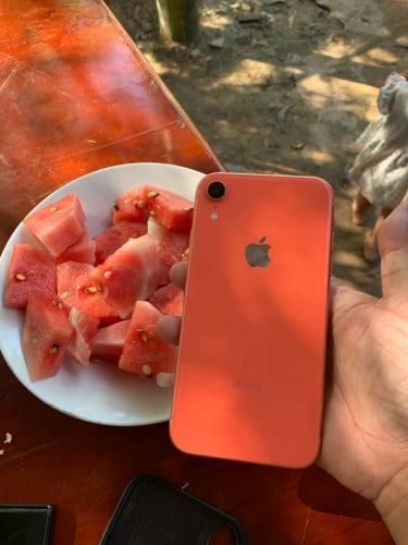 XR 64 អេក្រង់សុីន អត់ស្កេន