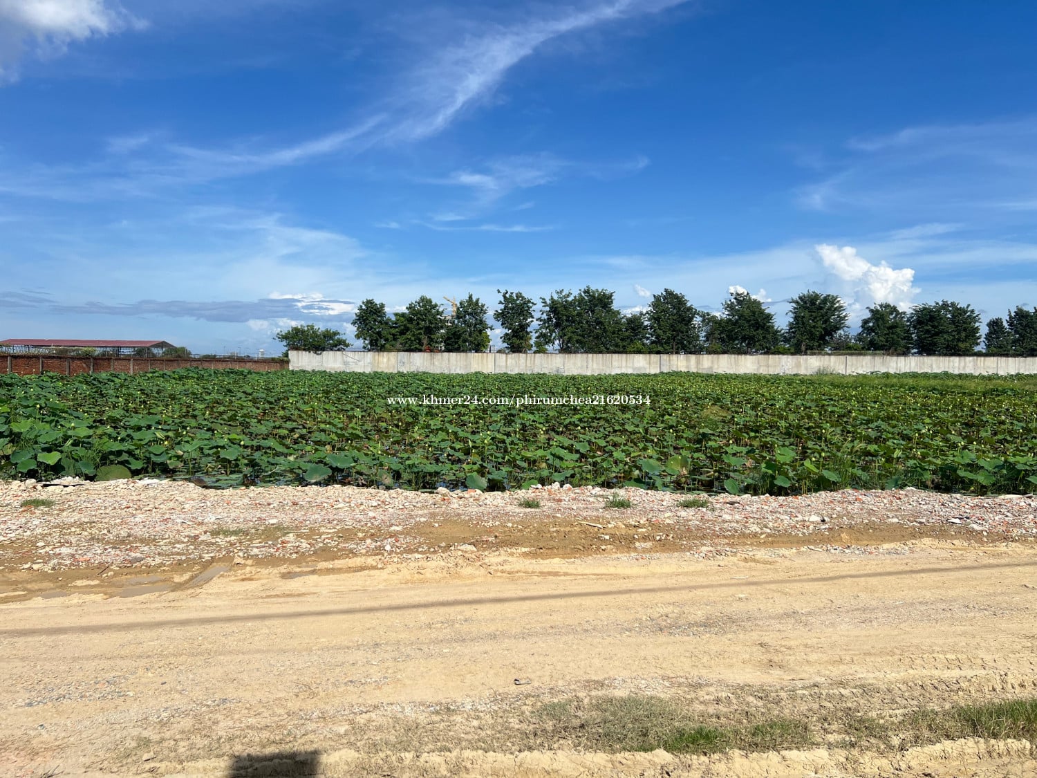 ដីលក់ / Land for Sale