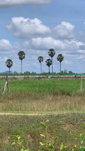 ដីសម្រាប់លក់