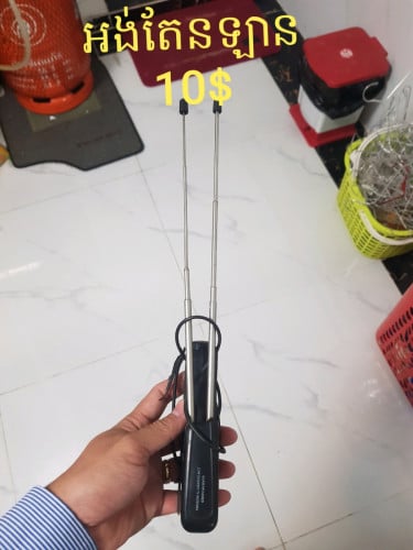 អង់តែននឹង កាងកន្ទុយត្រីក្រោយ