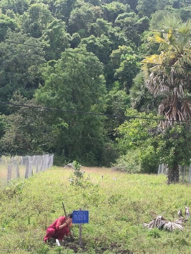 ដីលក់បន្ទាន់