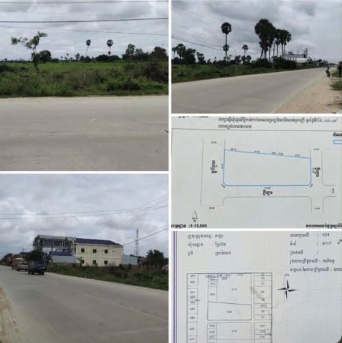ដីកែងលក់បន្ទាន់លើផ្លូវព្រៃសរ