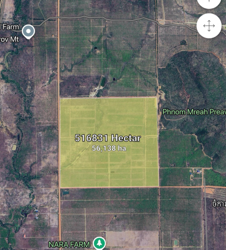 ដីចំការទំហំ51ហិចតានៅកំពង់ស្ពឺលក់តំលៃ 3.50$/sqm