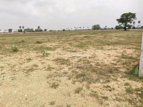 ដីលក់បន្ទាន់ ប្លងរឹង20*20