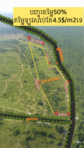 ដីបញ្ចុះតម្លៃ50% សល់តែ4.5$/m2ទេ! 6.5ha លក់ឡៃឡុង (ទិសខាងជើងភ្នំពេញ 65km ពីវត្តភ្នំពេញ)