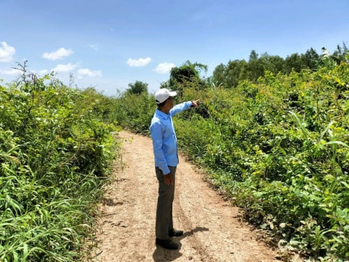 ដី54ហិចតាលក់បន្ទាន់នៅ ស្រុកល្វាឯម