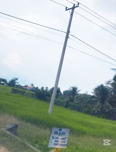 ដីសម្រាប់ជួល--Land for Rent