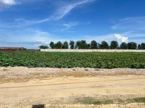 ដីលក់ / Land for Sale