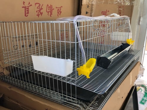 ទ្រុងក្រួច quail cage