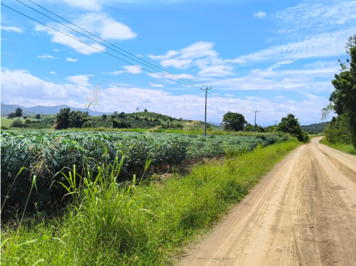 Prime Land for Sale Near Phsar Prum, Pailin City (Close to Thai Border) ） 柬埔寨拜林市普萨普隆附近黄金地块（靠近泰国边境）