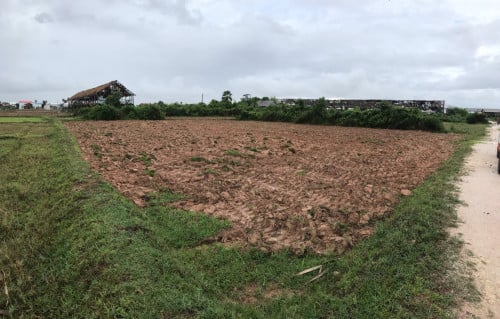 ដីលំនៅដ្ឋានចង់លក់ផ្ទាល់