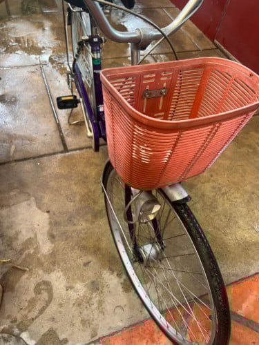 កង់តួស្រី