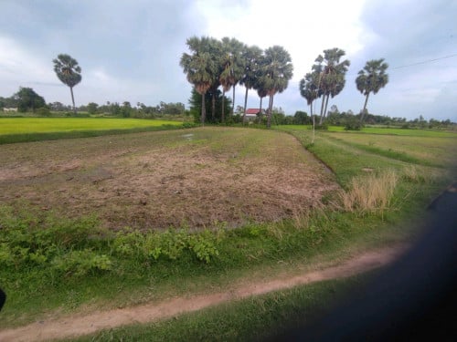 ខ្ញុំលក់ដីប្រញាប់លុយ550/m2ប្លង់រឹង