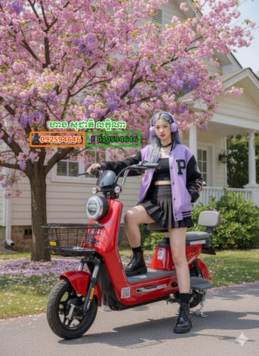 កង់អគ្កិសនី ម៉ូឌែល Q5 ប្រេនថាឌី