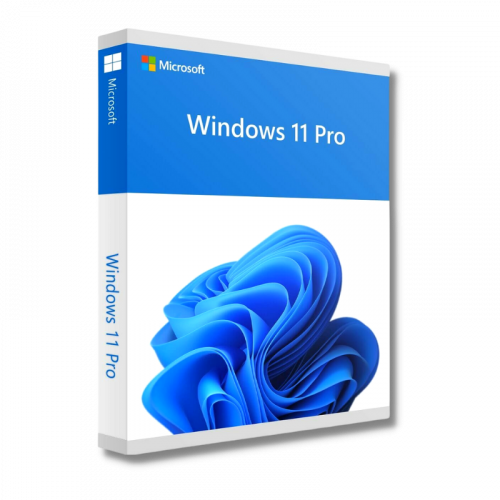 License Windows 11 Pro