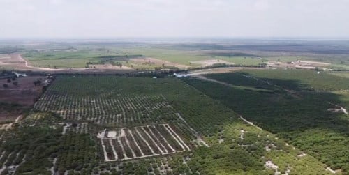 ដីសម្រាប់លក់នៅខេត្តកំពង់ធំ