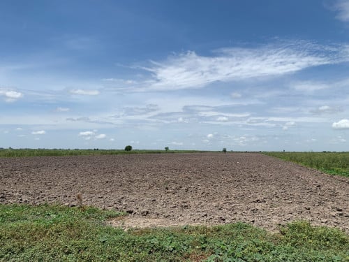 ដីសំរាប់លក់ ផ្លូវមុខ 20ម៉ែត្រ