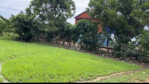 ដីលក់បន្ទាន់