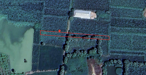 ដីភូមិថ្មី(ភូមិថ្មី) ឃុំសន្លុង​ ស្រុកខ្សាច់កណ្តាល ខេត្តកណ្តាល ទំហំ 1226m2 មានប្លង់រឹង (ប្លង់2)