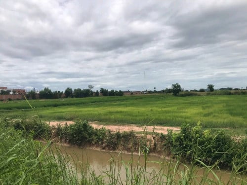 ដីលក់​ក្រោម​តម្លៃ​ទីផ្សារ​ 40%