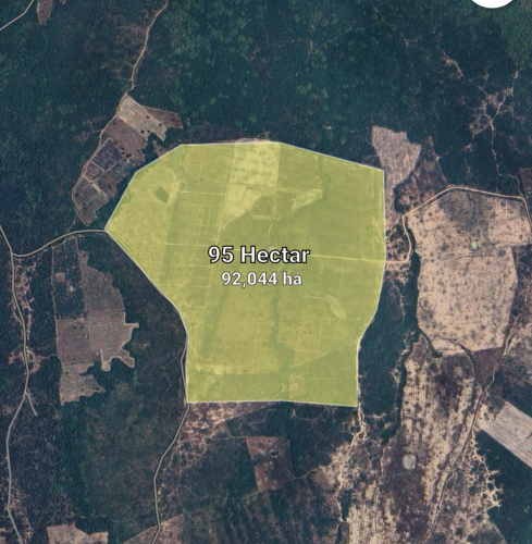 ដីលក់ទំហំ 95ហិចតា នៅក្រគរ ជិតផ្លូវជាតិលេខ៥