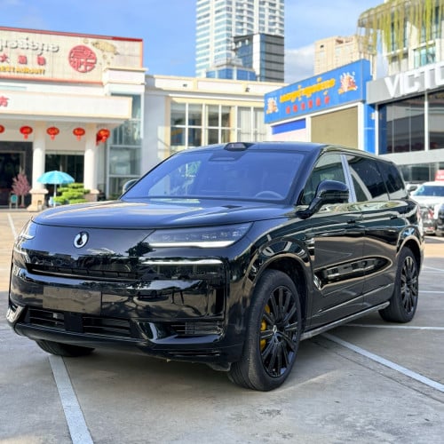 Denza N9 Black Edition