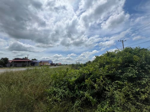 ដីលក់ ជាប់ផ្លូវជាតិលេខ៤១ គីឡូម៉ែត្រលេខ ៨១ ប្លង់រឹង