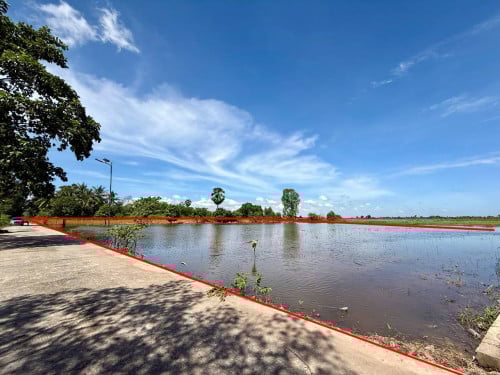 Land for Sale Urgent ៖ Near New Airport, S'ang