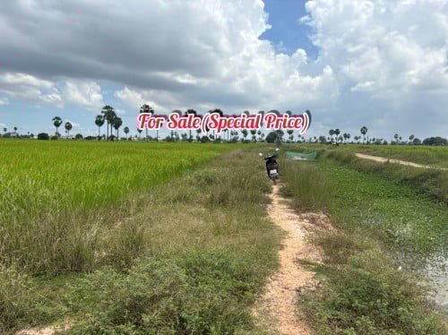 ដីល្អអាចសាងសង់ឃ្លាំងឬទុកចំនេញបាន