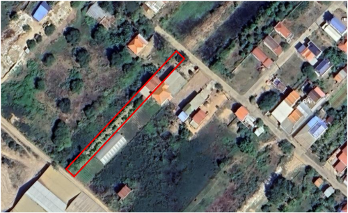 ដីសម្រាប់ជួល​ 800m2 (250$ ចរចា)