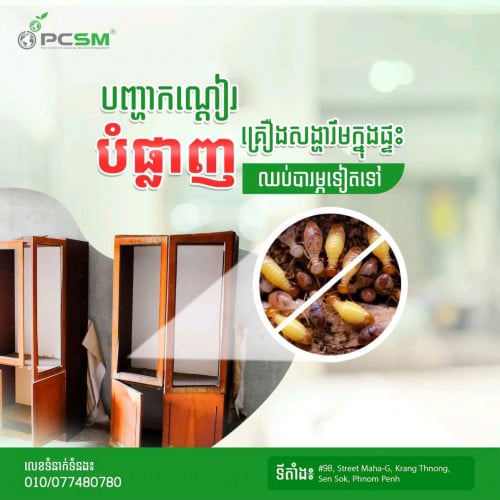 តើបងប្អូនកំពុងមានសត្វកណ្តៀសុីតុទូមែនទេយើងមានសេវាកម្មសំលាប់វា