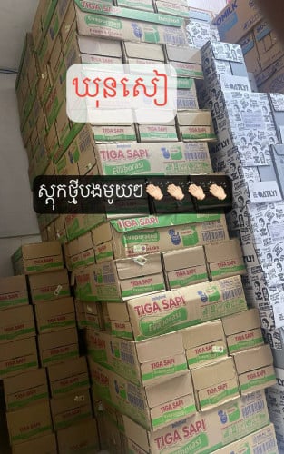 ទឹកដោះគោ Tiga Sapi