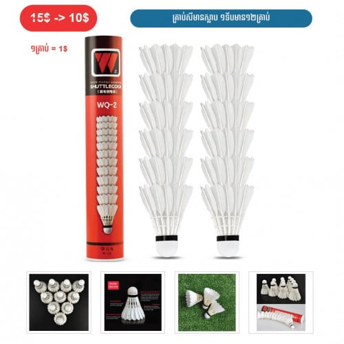 ⏭️ 	គ្រាប់សីមានស្លាប ១ទីបមាន១២គ្រាប់