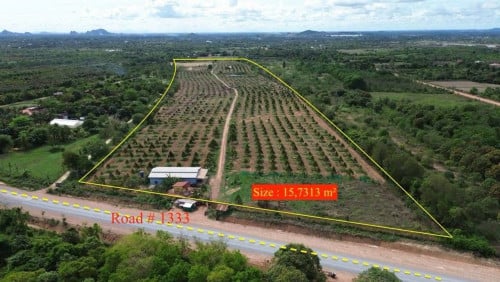 🌏​ ខេត្ត​កែប​ ចំការទុរេនលក់