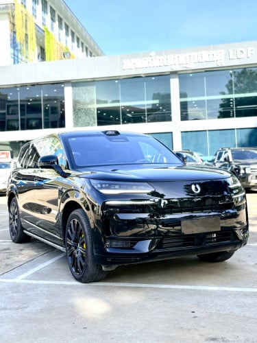 Denza N9 Flagship Black edition