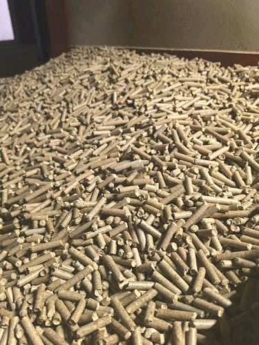 Wood pellets & Wood chips