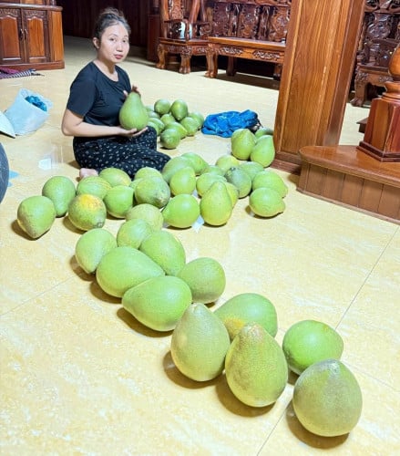 ក្រូចថ្លុង