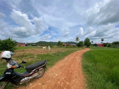 ដីលក់ ម្ចាស់ប្រញ៉ាប់លុយ