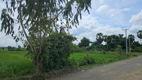 ដីលក់បន្ទាន់ ម្ចាស់ប្រញាប់ទៅក្រៅប្រទេស