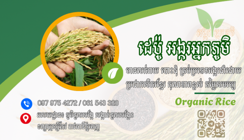 ដេប៉ូអង្ករអ្នកភូមិ មានលក់អង្ករធម្មជាតិដាំដុំដោយកសិករខ្មែរ